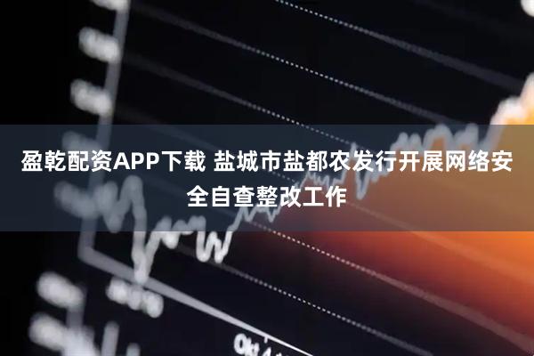 盈乾配资APP下载 盐城市盐都农发行开展网络安全自查整改工作